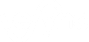 vefync logo