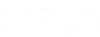 dnsys logo